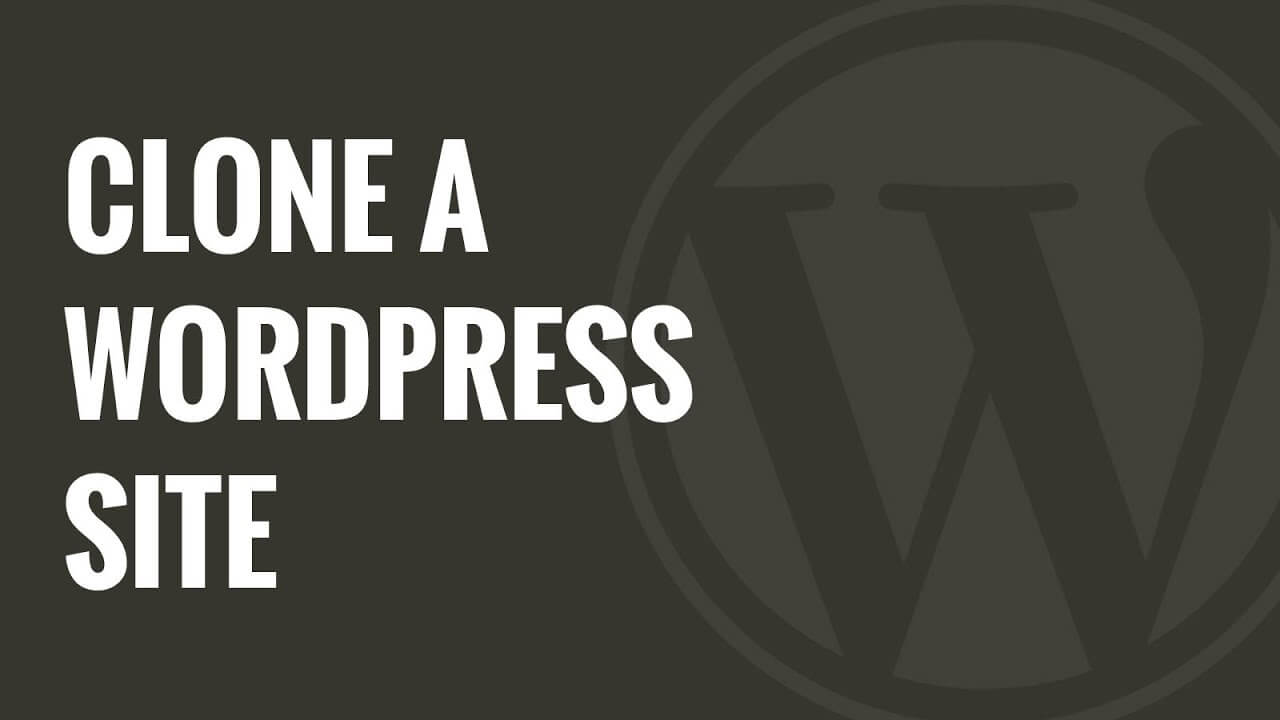 Hướng dẫn cài đặt website bằng Duplicator 1 duplicator